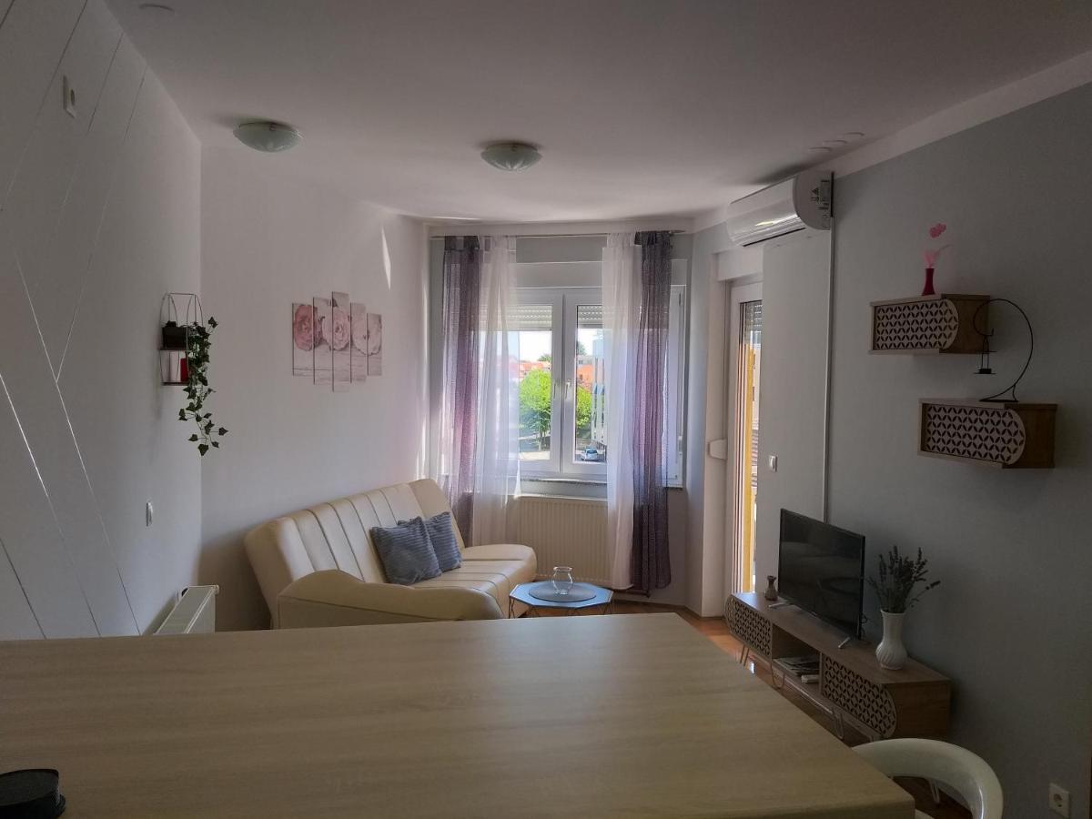 Apartament Jelacic *